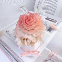 克里斯蒂娜公主擴香花莉莉貝橘 (贈送5ml香氛油)