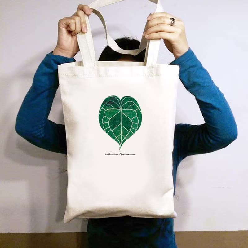 植物 圓葉花燭 觀葉植物 帆布袋