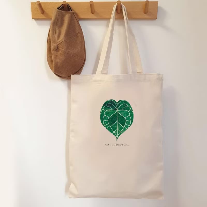 植物 圓葉花燭 觀葉植物 帆布袋