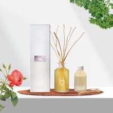 【感恩回饋】Bamford 香氛室內擴香+補充瓶 限定組合
