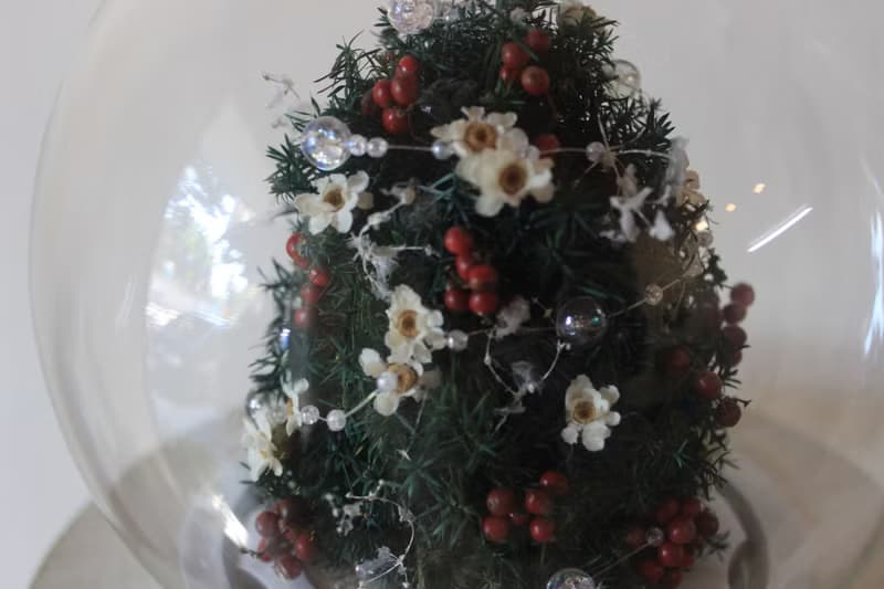 永生聖誕樹盅罩 聖誕小樹