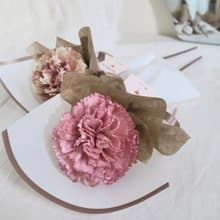 【24H出貨】母親節花束ー單朵康乃馨花束 | 永生花/乾燥花/母親節