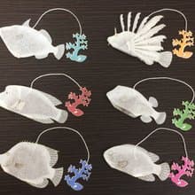 アクアリウムアソート　ルイボスティー6種セット