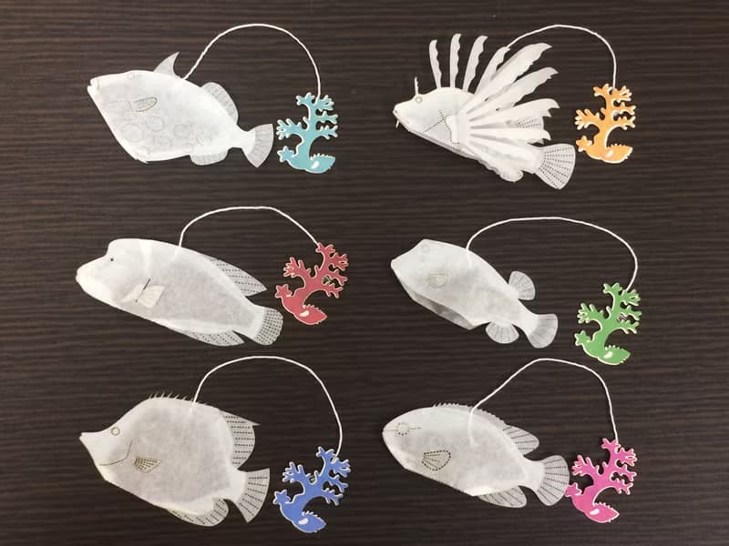 水族館的品種、一套6個羅漢果茶。