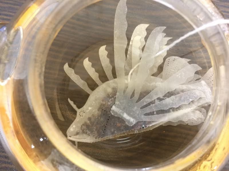 水族館的品種、一套6個羅漢果茶。