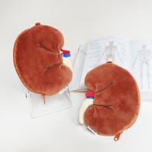 腎臟零錢包 毛絨包 科學 畢業