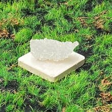 能量擺飾-天然純淨白色可愛魚眼石原礦 療癒 開運 快速出貨