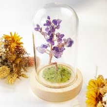 生命之樹/水晶樹/脈輪/助眠/冥想/能量/開運招財/橄欖石/紫水晶樹