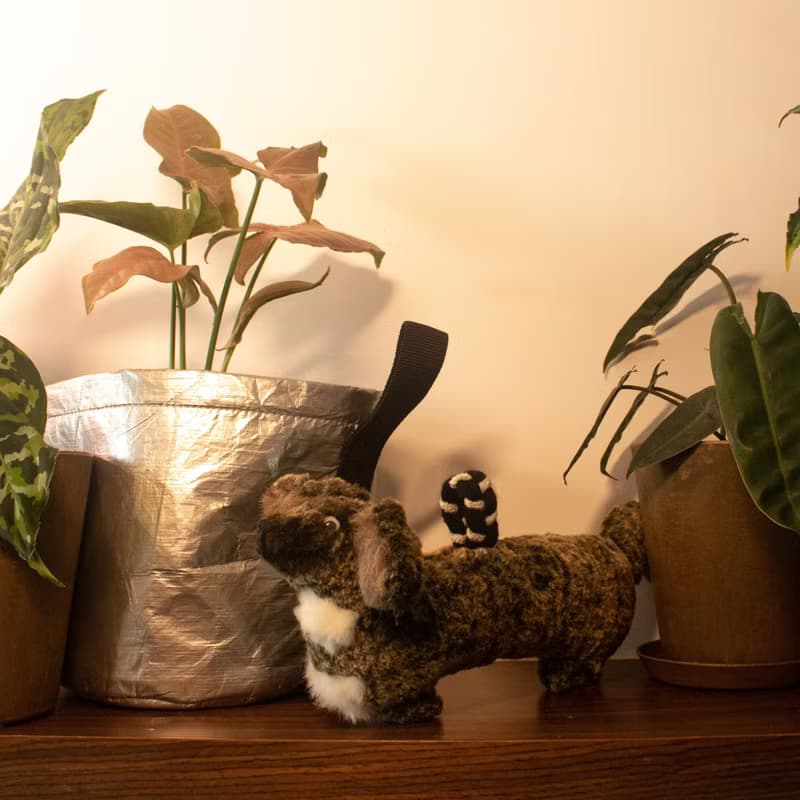 【KAHU守護者・娃娃系列】寵物娃娃訂製/情人節禮物/聖誕禮物