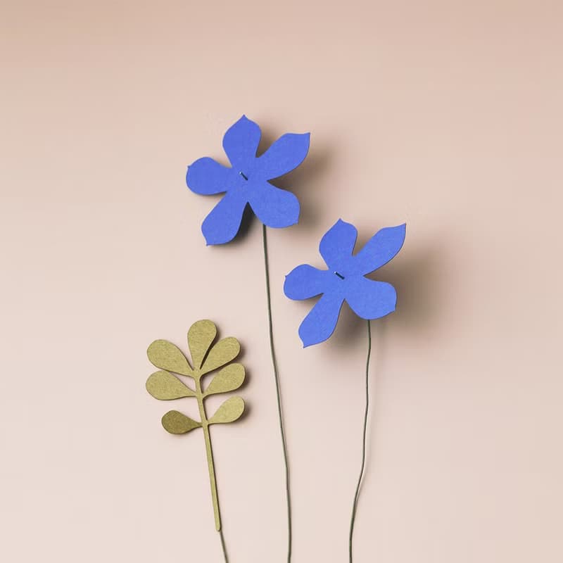 好玻 x 紙物-小花日盒/花器禮盒組-Sweet&藍鐘花