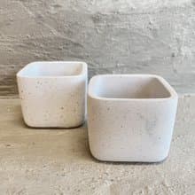 【荳荳多肉】【方型倒底泥盆】喬遷│送禮│升遷│多肉植物