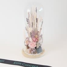 純潔 / 玻璃鐘罩永生花