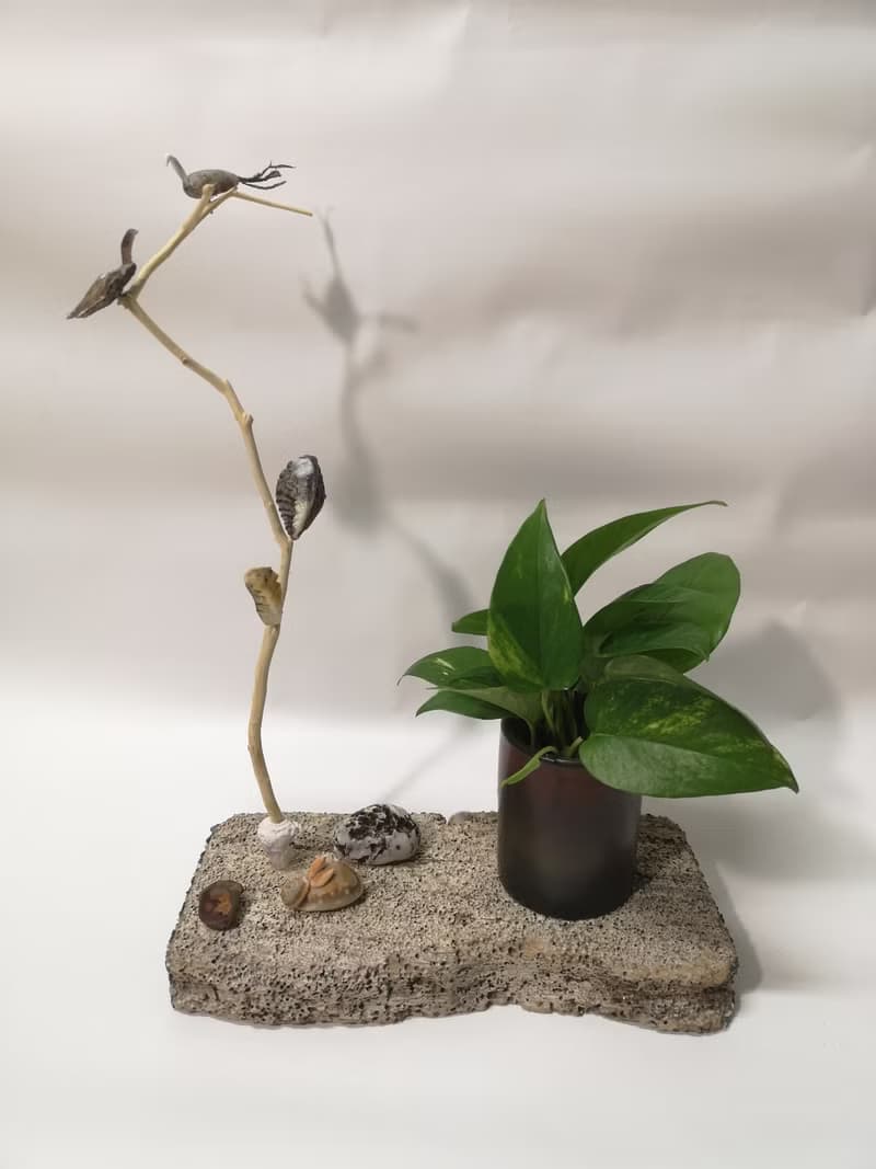 -蛀蛀石- 花台 花座 展示架  盆栽架 多肉植物 花架 置物台