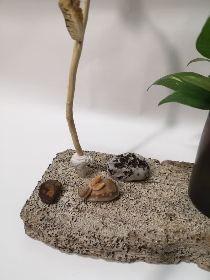 -蛀蛀石- 花台 花座 展示架  盆栽架 多肉植物 花架 置物台