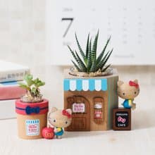 【Hello Kitty盆栽】凱蒂貓多肉盆栽罐 | 蒔光 三麗鷗