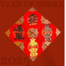 【2025祥蛇年】手寫創意春聯。暴富、爆單、大發