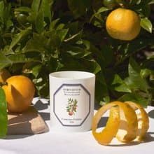 Carrière Frères 橙花香氛蠟燭