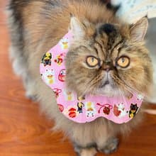 粉紅招財貓咪花形口水肩 四合扣款