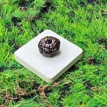 能量擺飾-精選天然埃及預言石可愛小南瓜造型原礦 快速出貨
