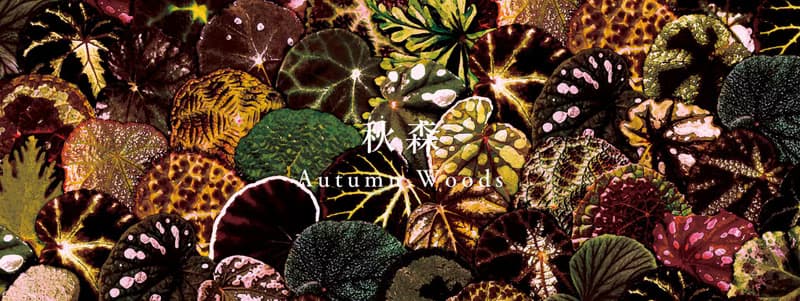 【春及殿】秋森 Autumn Woods 手工香氛蠟燭