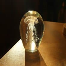 水母 | 玻璃熾造 工坊手作