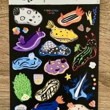 colorful waterproof sticker nudibranch, little monster of the sea