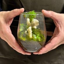 新品上市 - 柔光白礁 / 手工微景觀生態盆