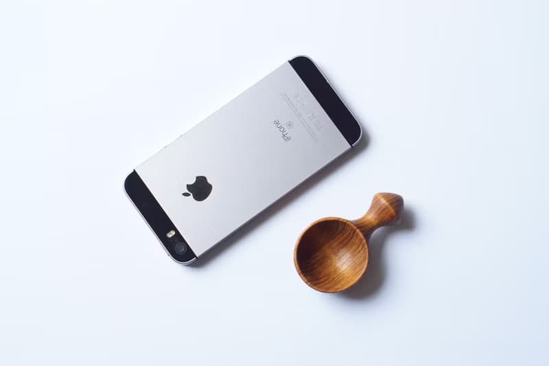 木のスパイススプーン, チーク