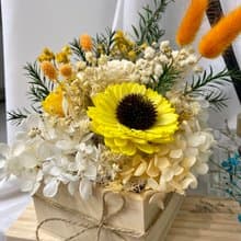 夏季森林系療癒禮物 生日禮物 畢業禮物 告白禮物