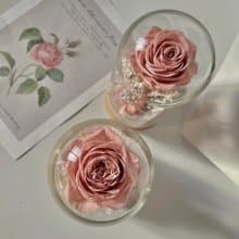 Rosemary小小花園玻璃罩-夜曲 永生花/情人節/生日/畢業禮物