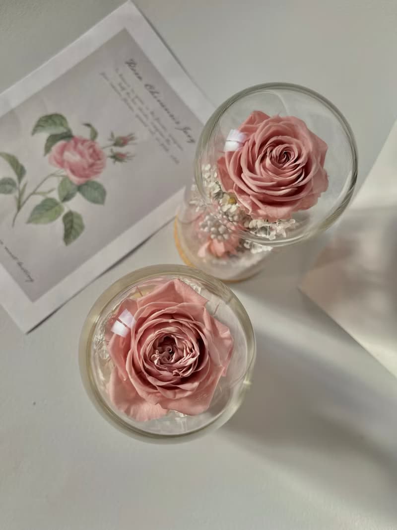 Rosemary小小花園玻璃罩-夜曲 永生花/情人節/生日/畢業禮物