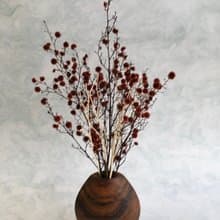 Light Forest 貝殼瓶 南美胡桃木 擴香瓶、花器  乾燥花永生花