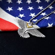 捍衛戰鷹 老鷹 男項鍊 個性項鍊 個性飾品 項鍊 長項鍊 不銹鋼鍊