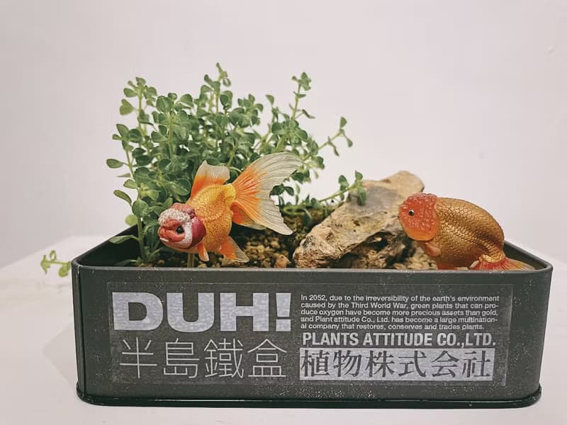 半島鐵盒 植物株式会社