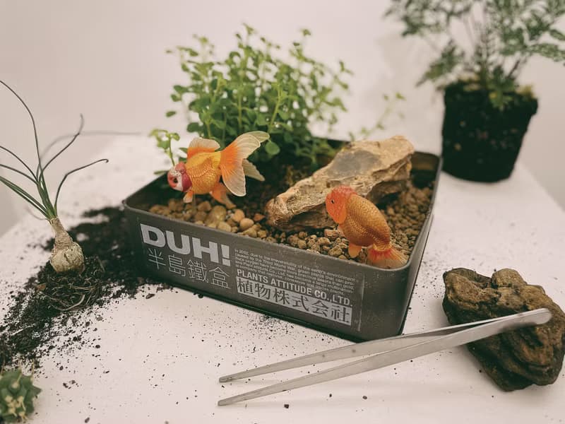 半島鐵盒 植物株式会社
