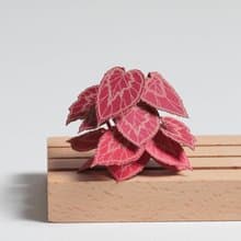 【立體植物貼紙】 蟆葉秋海棠 (605011) FingerART紙雕紙藝術