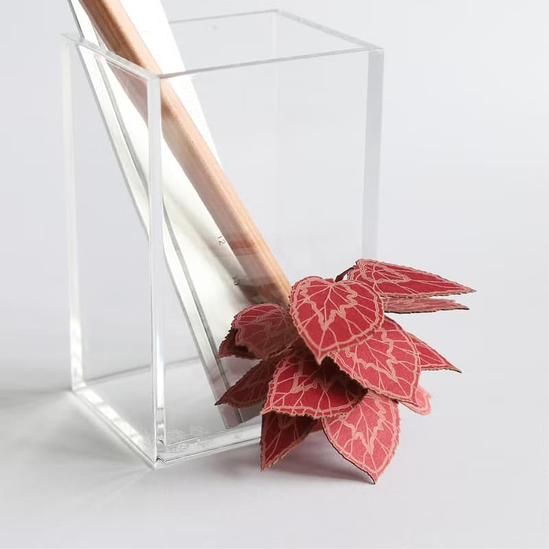【立體植物貼紙】 蟆葉秋海棠 (605011) FingerART紙雕紙藝術