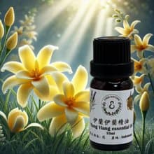 花香調純精油 100%單方精油 依蘭依蘭 10ml/50ml 贈精美擴香石