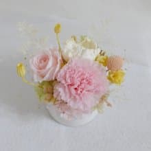 母節親永生康乃馨盆花  結婚捧花永生乾燥花情人節生日禮物花束七