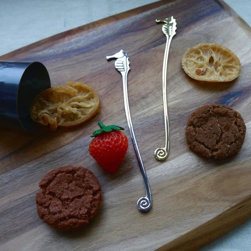 日本【SALUS 佐藤金屬】海馬攪拌棒-2色