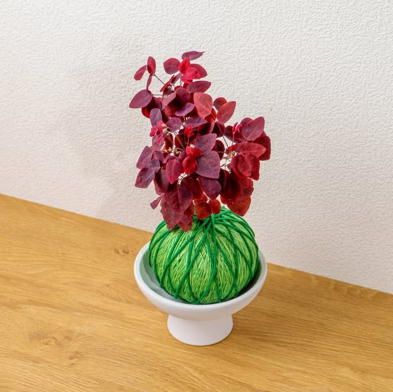 苔球植物 小紅楓酢漿草嫩綠苔球加磨砂高腳缽 苔球 苔玉 禮物