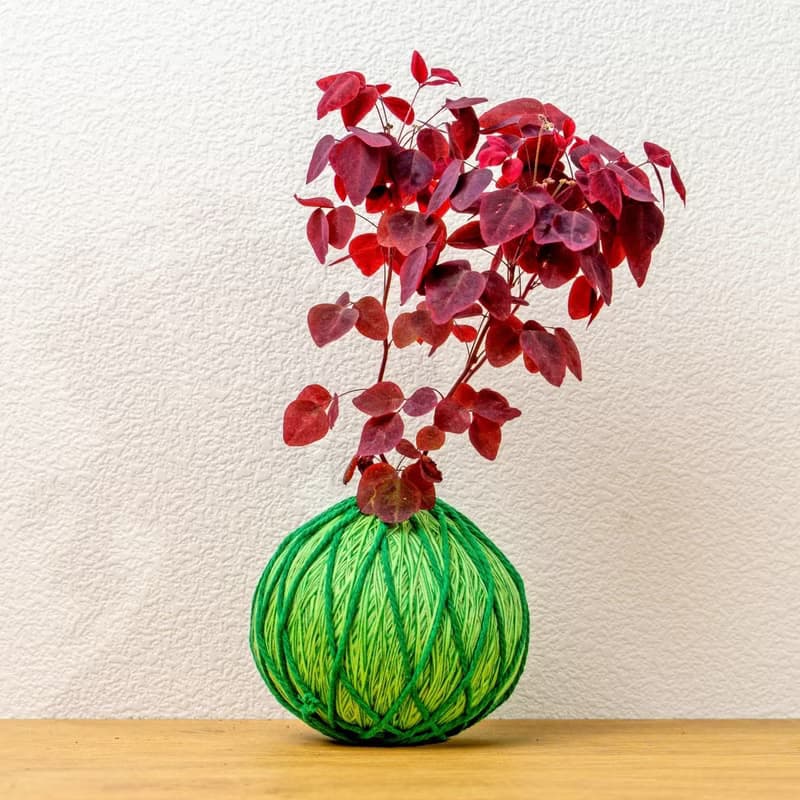 苔球植物 小紅楓酢漿草嫩綠苔球加磨砂高腳缽 苔球 苔玉 禮物