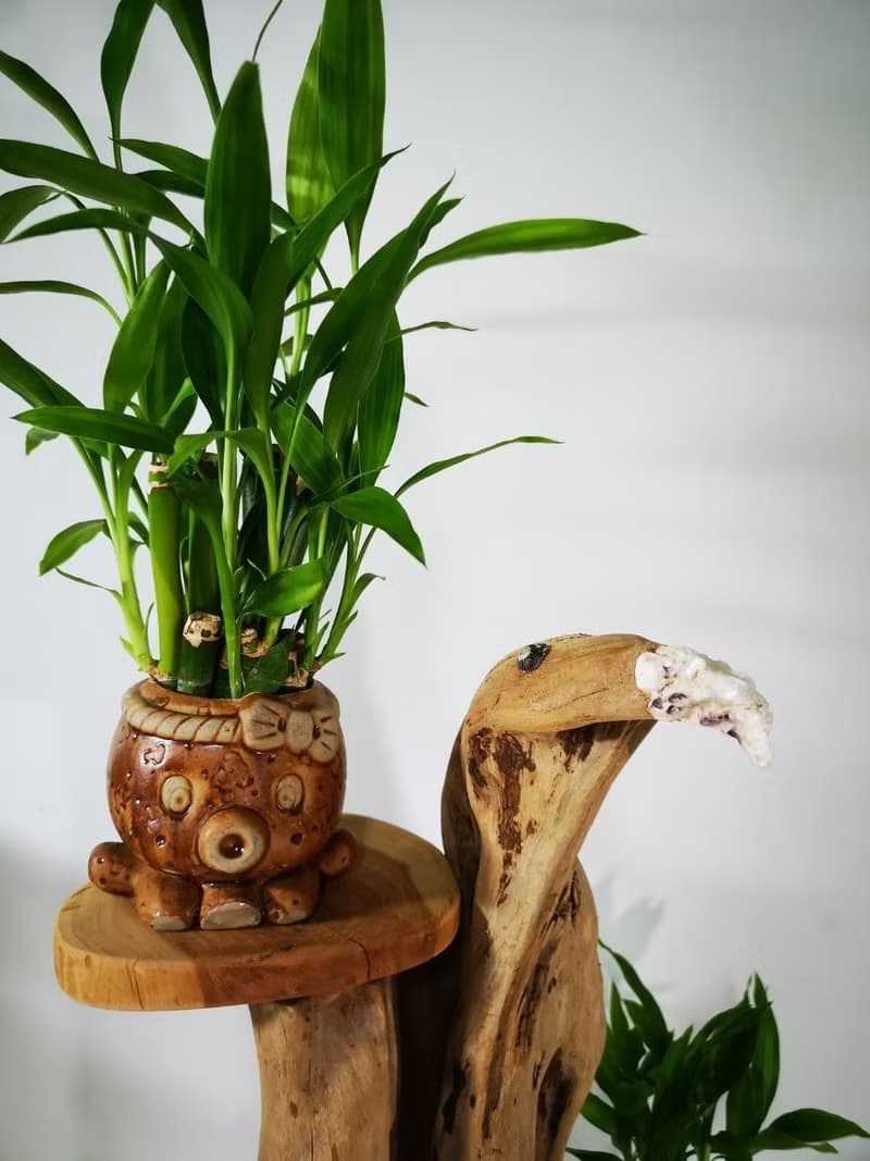 -老鷹-  花架 花座 展示架 盆栽架 多肉植物 木頭擺飾 木頭擺飾品