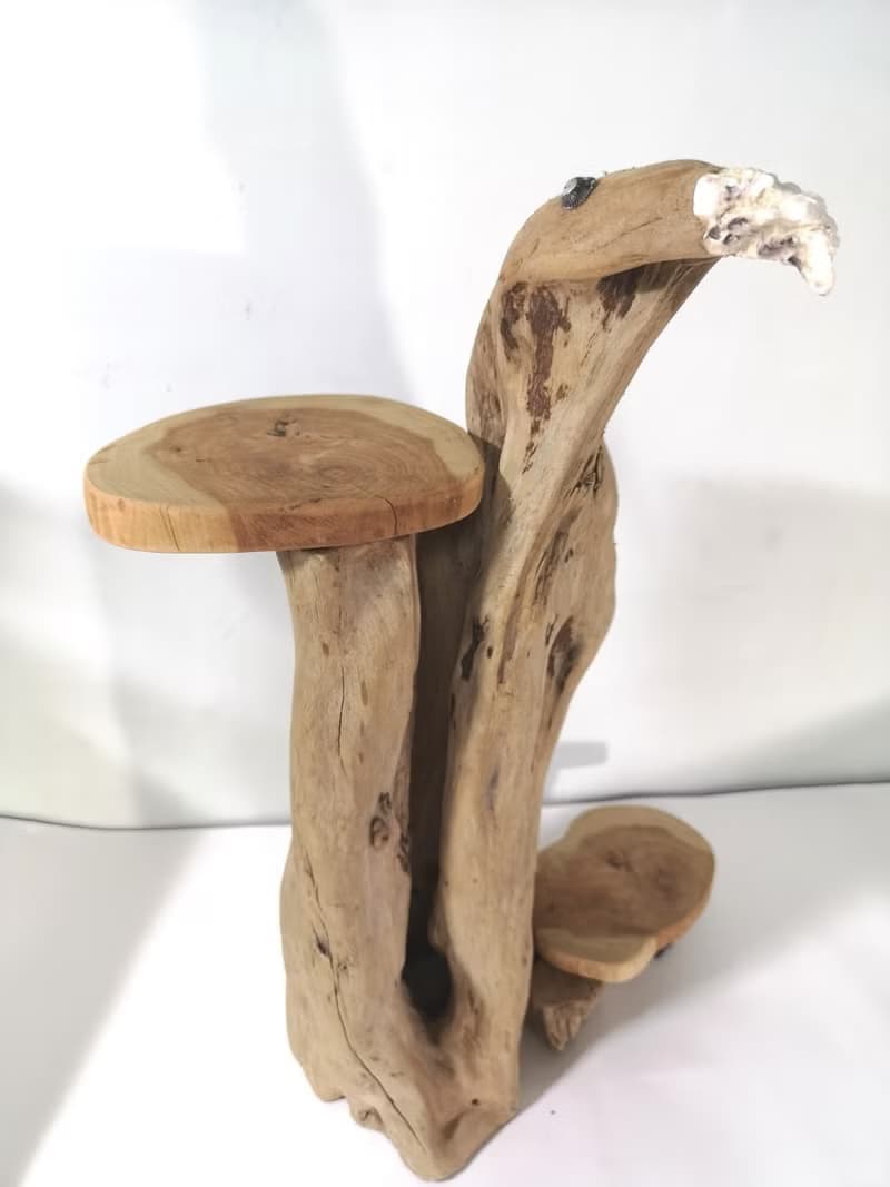 -老鷹-  花架 花座 展示架 盆栽架 多肉植物 木頭擺飾 木頭擺飾品