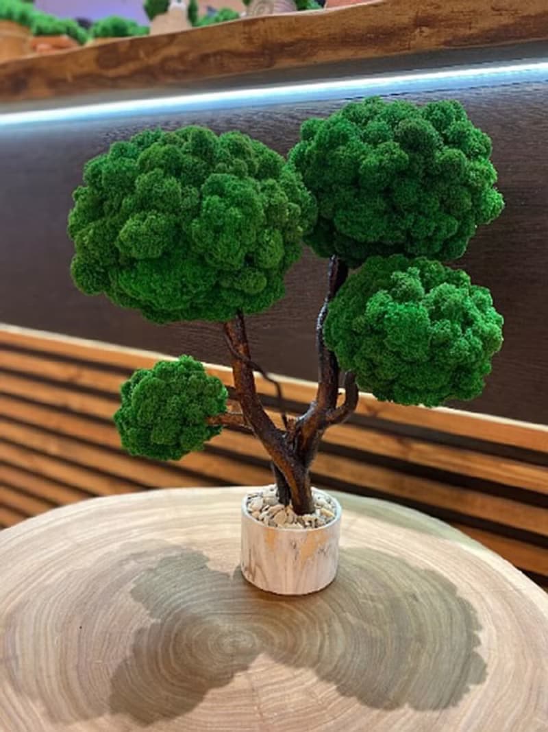 Moss tree, reindeer moss, unique moss tree, home decor