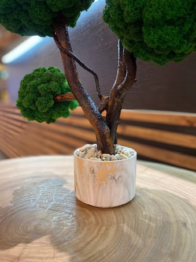 Moss tree, reindeer moss, unique moss tree, home decor