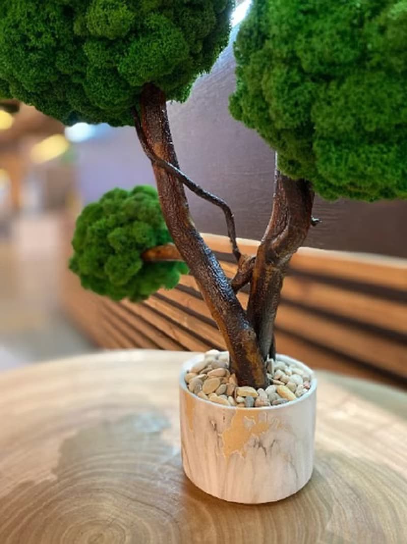 Moss tree, reindeer moss, unique moss tree, home decor