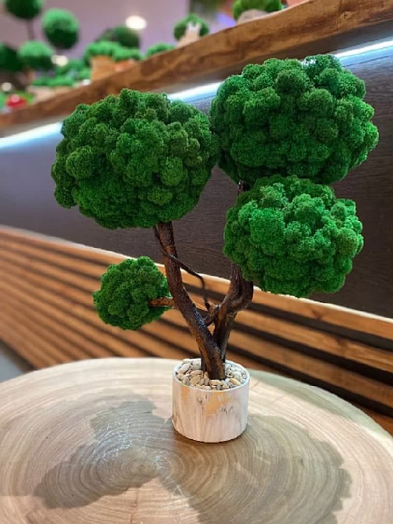 Moss tree, reindeer moss, unique moss tree, home decor