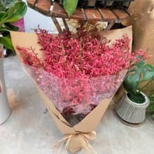 鮮花系列~腎藥蘭花束 精緻花禮 台北市外送免運費典華優惠券