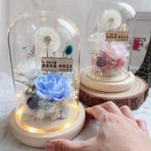 乘風而來的蒲公英 永生花玻璃罩 教師節禮物 蒲公英玻璃罩 小夜燈